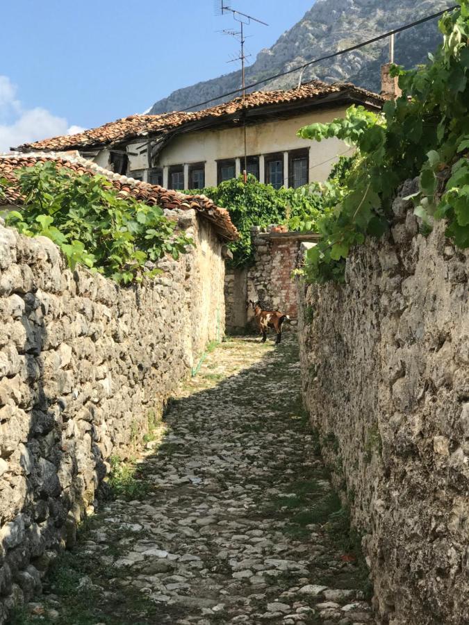 Kaloshi Villa Krujë Extérieur photo